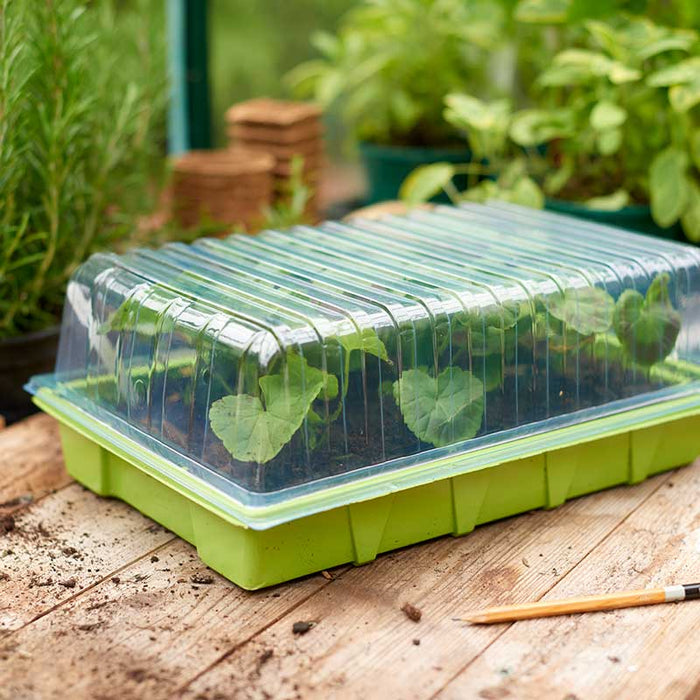 Seed Tray Lid Standard