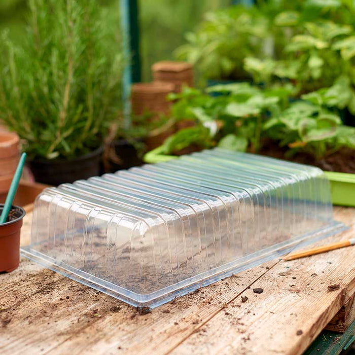 Seed Tray Lid Standard