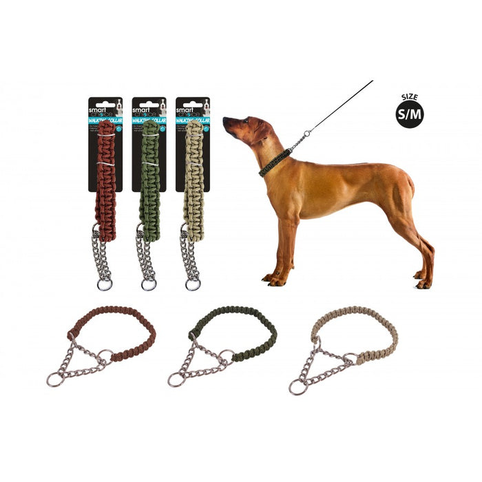 Smart Choice Walking Dog Collar S/M