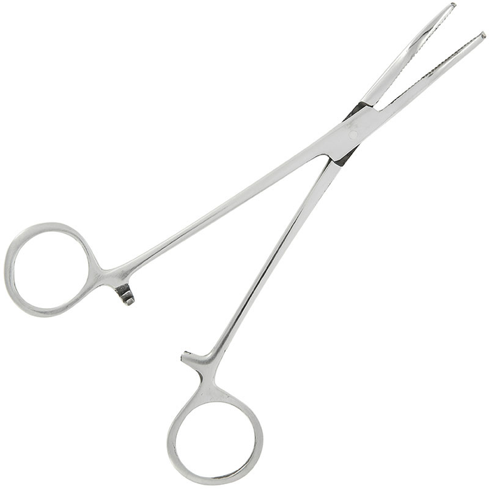6" Forceps - Stainless Steel Curved