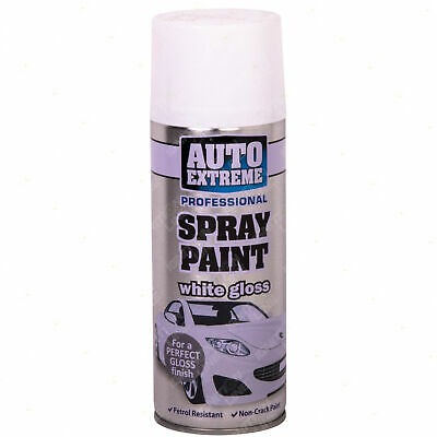 Professional Spray Paint - 400ml White Gloss