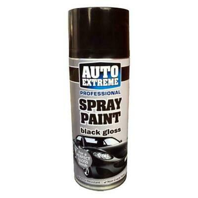 Professional Spray Paint - 400ml Black Gloss