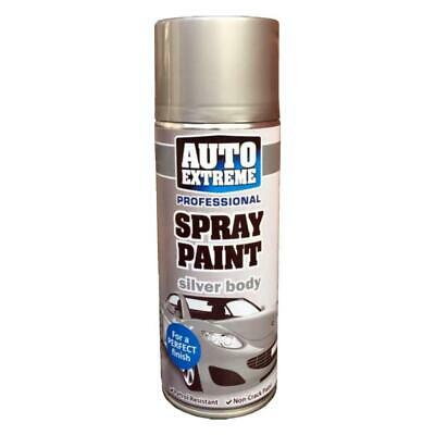 Professional Spray Paint - 400ml Silver Body