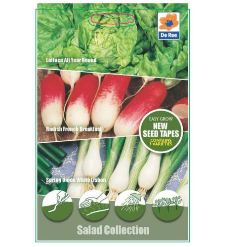 Salad Collection Seeds