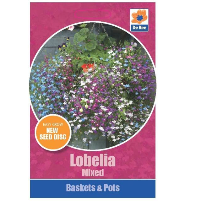 Lobelia Mixed Seeds