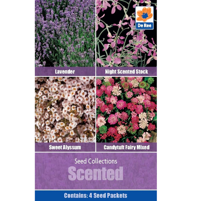 Seed Collection Scented