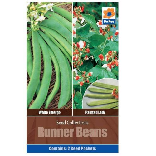 Seed Collections Runner Beans