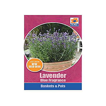 Lavender Blue Fragrance